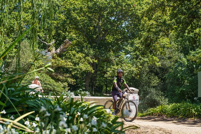Franschhoek Half Day Winelands Mountain Bike Tour - Wine, chocolate, and biltong