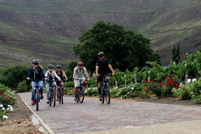 Franschhoek Half Day Winelands Mountain Bike Tour - What the guides add to the ride