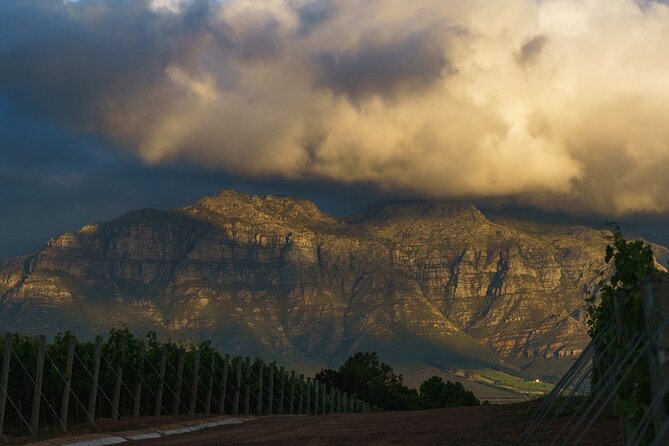 Franschhoek Half Day Winelands Mountain Bike Tour - How difficult is the cycling?