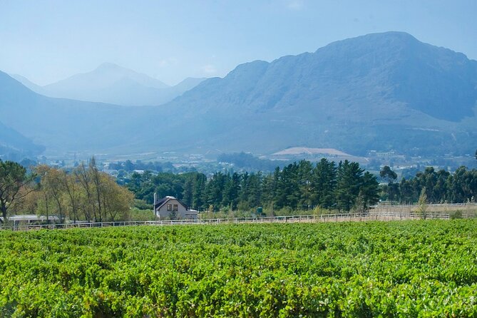 Franschhoek Half Day Winelands Mountain Bike Tour - Timing, meeting point, and planning details