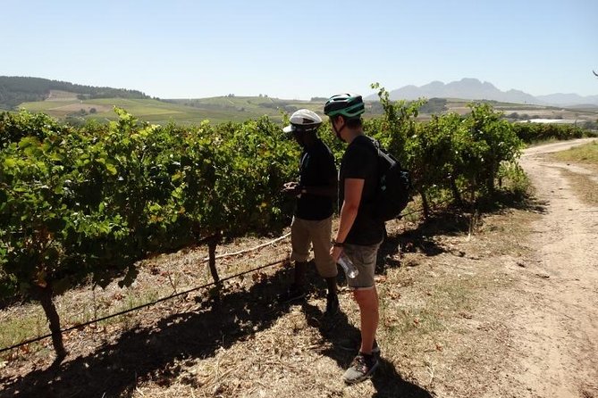 Franschhoek Half Day Winelands Mountain Bike Tour - Rickety Bridge: a strong opening stop