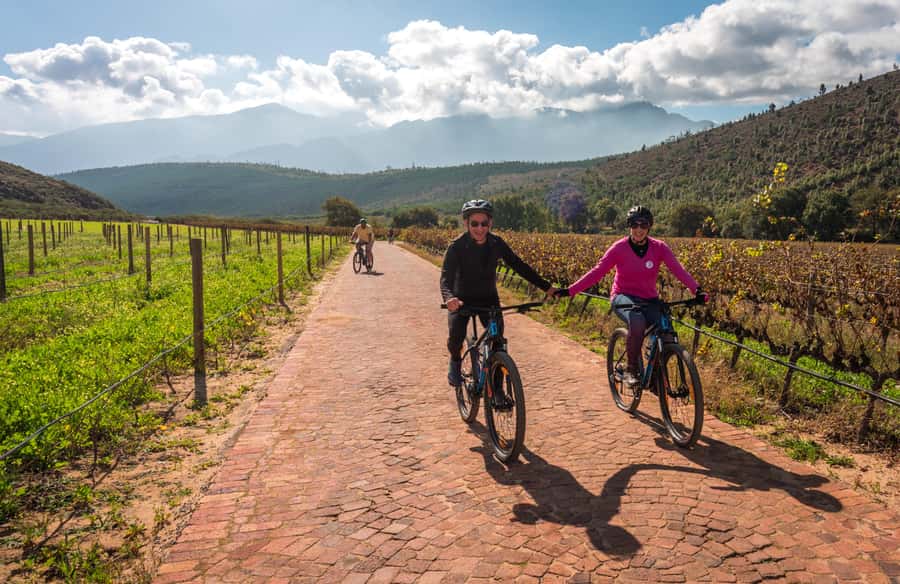 Franschhoek: Private E-bike Ride & Wine Experience - Glenwood offers a more intimate winery stop