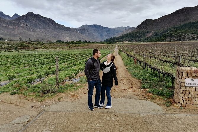 Franschhoek Shared E-Bike and Wine Tour - Why an e-bike is the right way to see Franschhoek