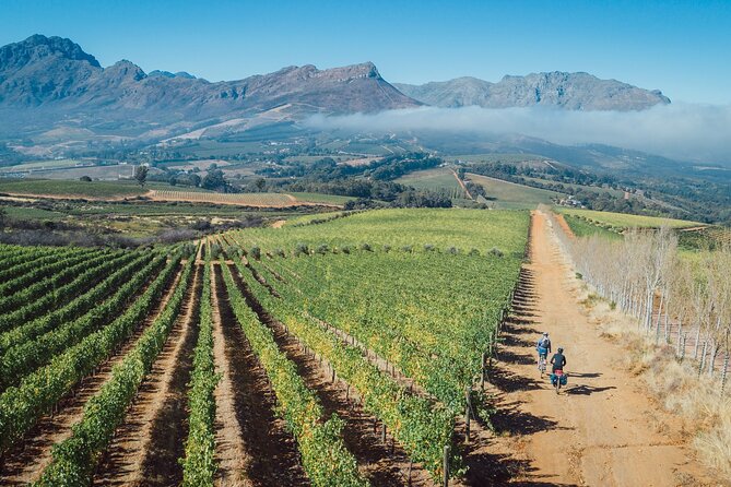 Franschhoek Sip & Cycle Experience Full Day - Private Tour - The Support Vehicle and Private Guide