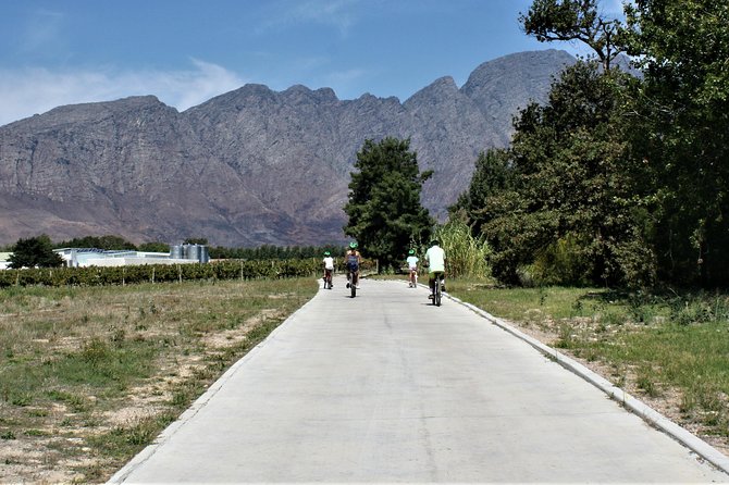 Franschhoek Sip & Cycle Experience Full Day - Private Tour - Is $196.24 Good Value?