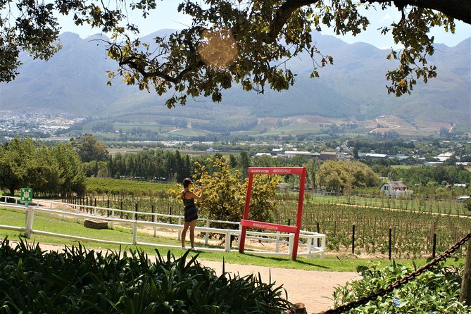 Franschhoek Sip & Cycle Experience Full Day - Private Tour - Starting at Grande Provence at 9:00 am