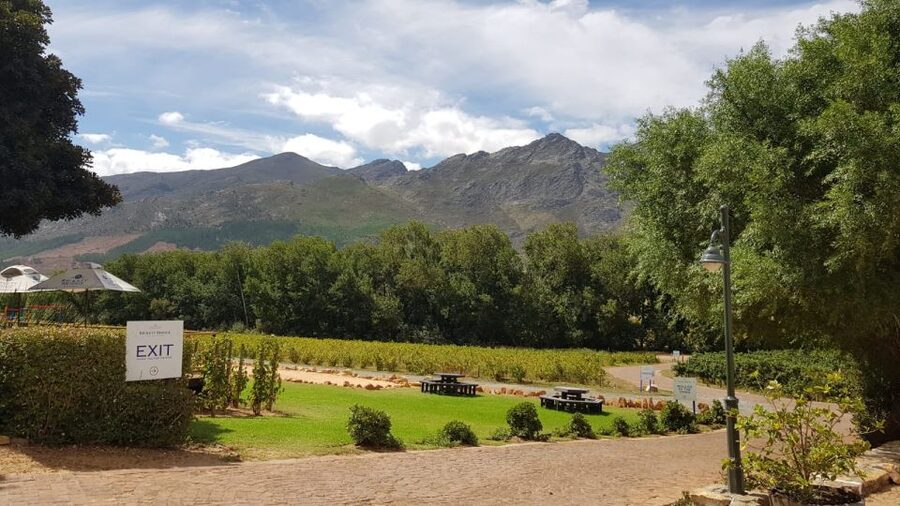 Franschhoek & Stellenbosch: Full-Day Wine Tour - Key points to know before you book