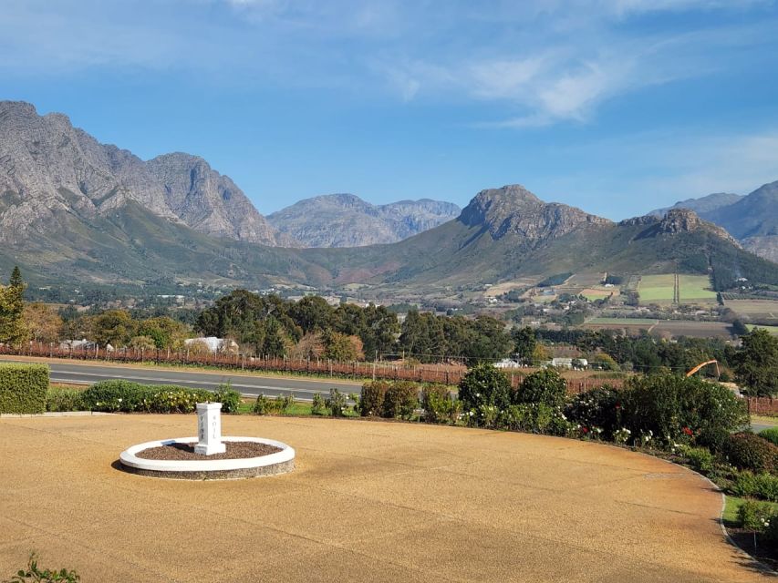 Franschhoek & Stellenbosch: Full-Day Wine Tour - Who should book this wine tour?