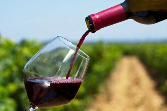 Franschhoek Wine Tram Hop On Hop Off Tour - Estate choices from Solms-Delta to Backsberg