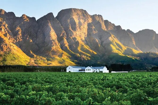 Franschhoek Wine Tram Hop-On Hop-Off Tour from Cape Town. - Choosing between the available routes