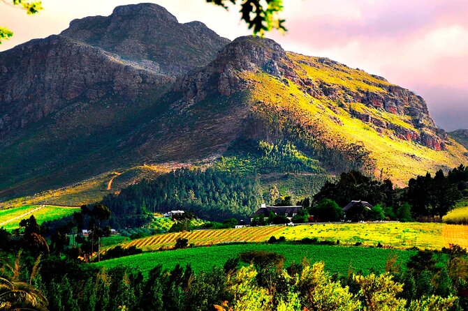 Franschhoek Wine Tram Hop-On Hop-Off Tour from Cape Town. - The pace, scenery, and social side of the day