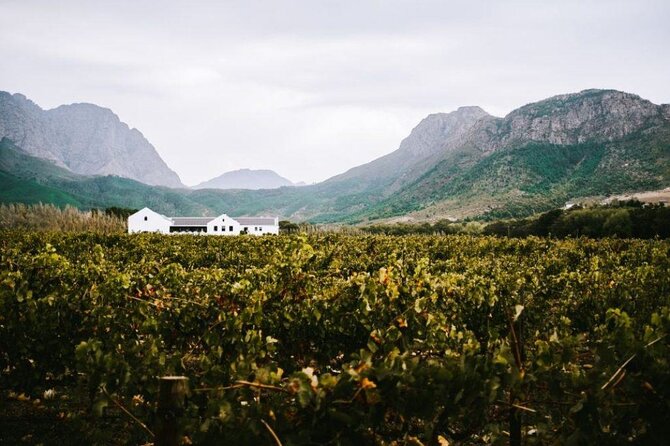 Franschhoek Wine Tram Hop-On Hop-Off Tour from Cape Town. - Arriving at the Franschhoek Wine Tram terminal