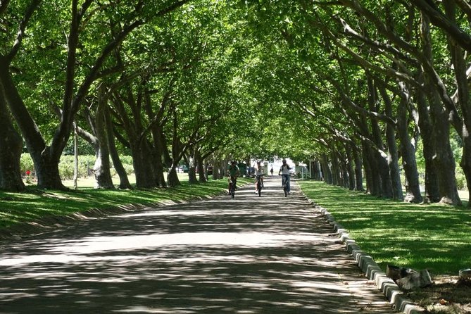 Franschhoek Winelands Luxury EBike Tour - La Bri brings a quieter wine-farm setting