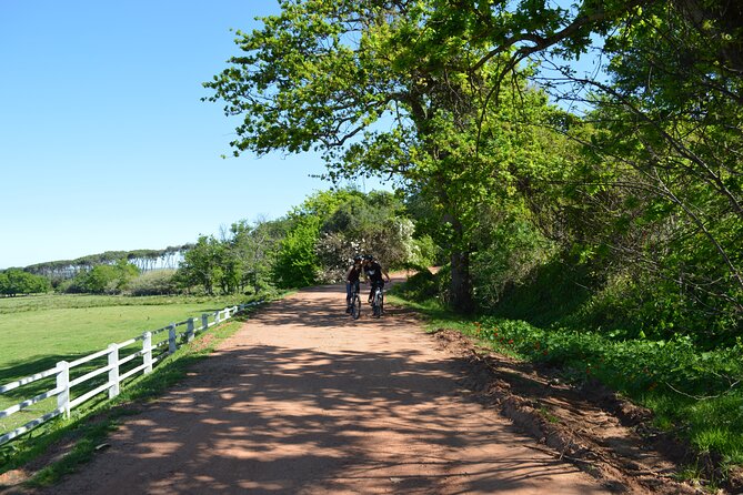 Franschhoek Winelands Meander © - What is included for $88.79