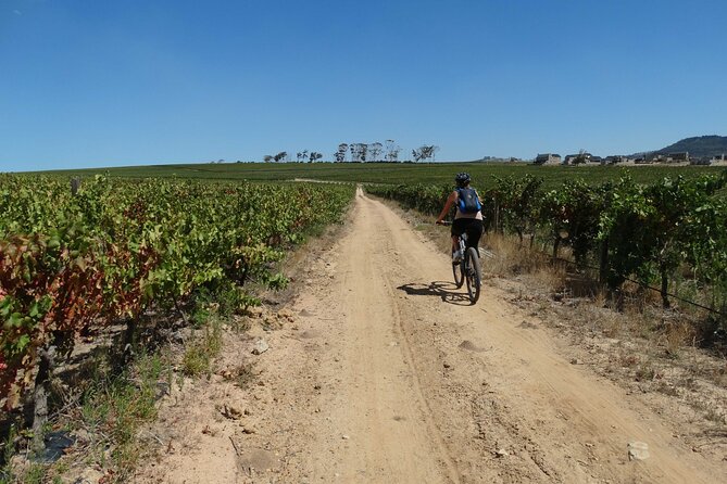 Franschhoek Winelands Meander © - The Huguenot monument and the valley story