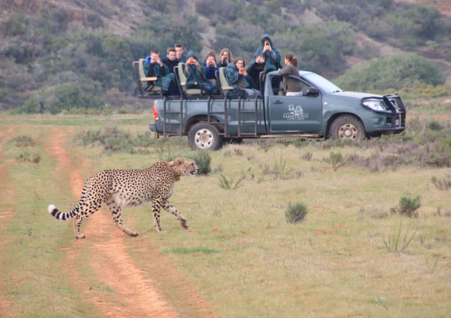 From Cape Town: 2-Day Safari at Garden Route Game Lodge - Cape Agulhas and the southernmost point of Africa