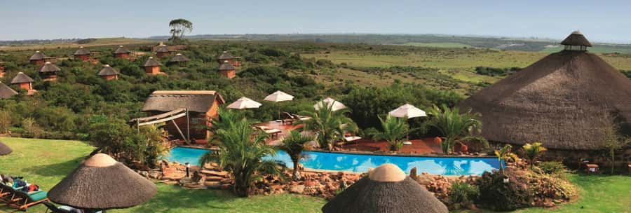 From Cape Town: 2-Day Safari at Garden Route Game Lodge - The long road through Hermanus and Betty’s Bay