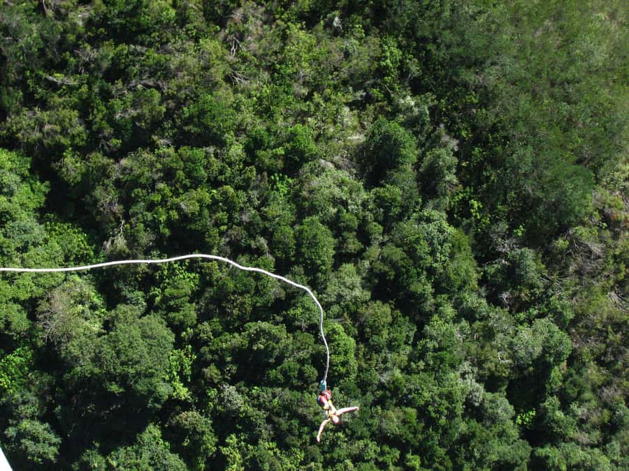 From Cape Town: 3-Day Garden Route Highlights and 4x4 Safari - FAQ