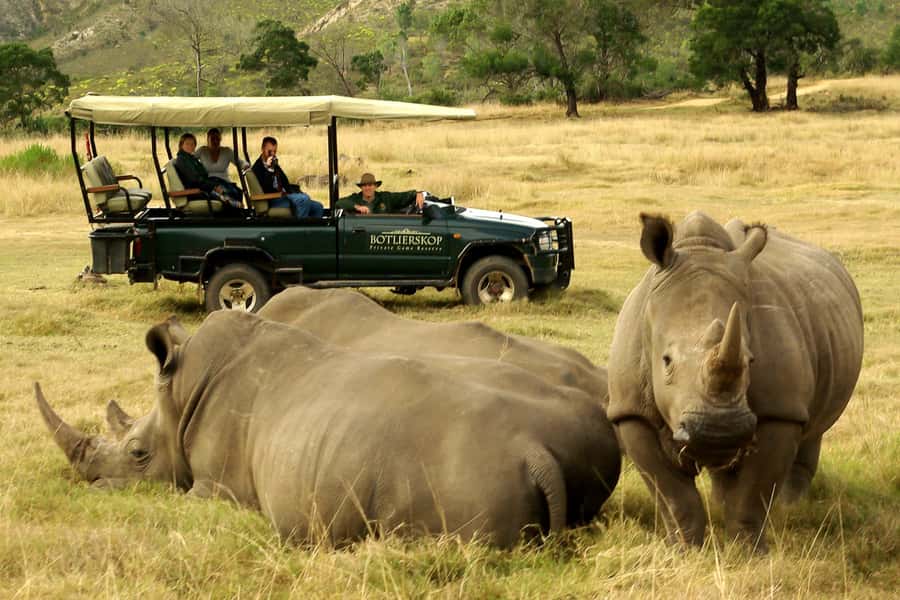 From Cape Town: 3-Day Garden Route Highlights and 4x4 Safari - Why this three-day route works