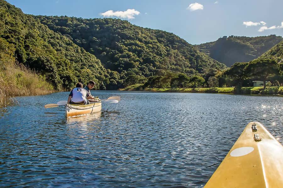 From Cape Town: 3-Day Garden Route Highlights and 4x4 Safari - Day 2: Elephants, quiet waterways, and Bloukrans