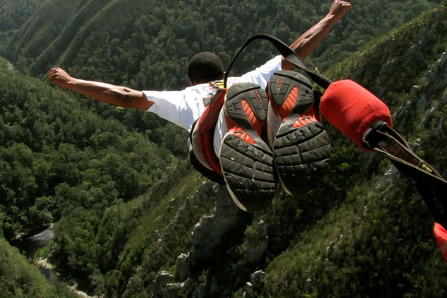 From Cape Town: 3-Day Garden Route Highlights and 4x4 Safari - Guides and group atmosphere