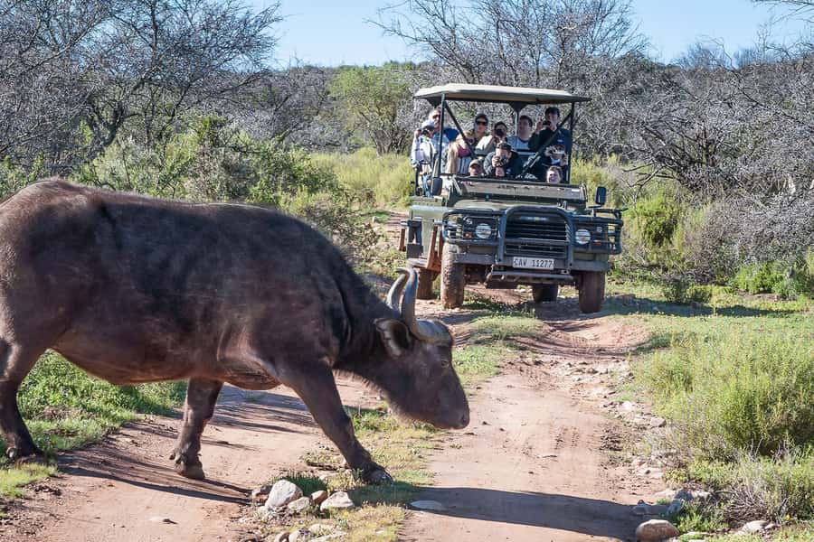From Cape Town: 3-Day Garden Route Highlights and 4x4 Safari - Accommodation, meals, and what to pack