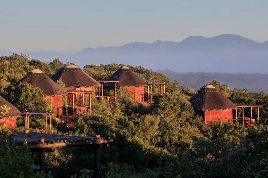 From Cape Town: 3-Day Garden Route Safari and Coastal Tour - Key points at a glance