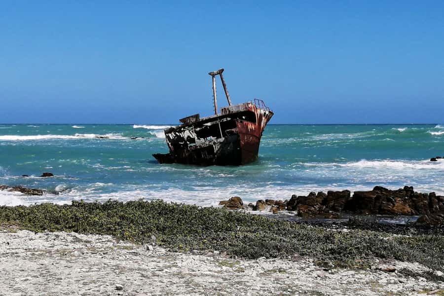 From Cape Town: 3-Day Garden Route Safari and Coastal Tour - Day three: an early drive and the long road back