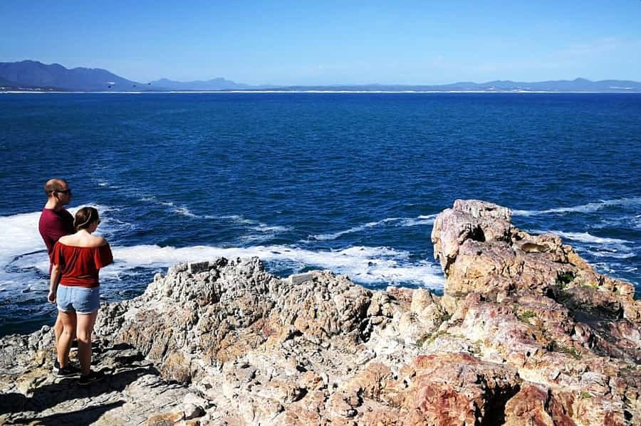 From Cape Town: 3-Day Garden Route Safari and Coastal Tour - What to bring and what costs extra
