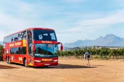 3 Regions Wine Tour with 3 Estates, 15 Wines