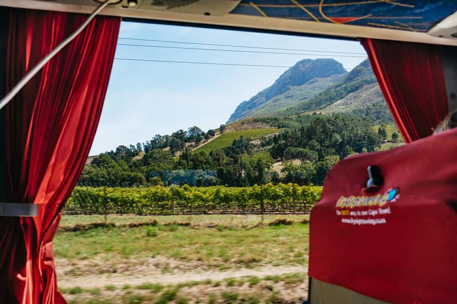 From Cape Town: 3 Regions Wine Tour with 3 Estates, 15 Wines - A quick stop connected to Nelson Mandela