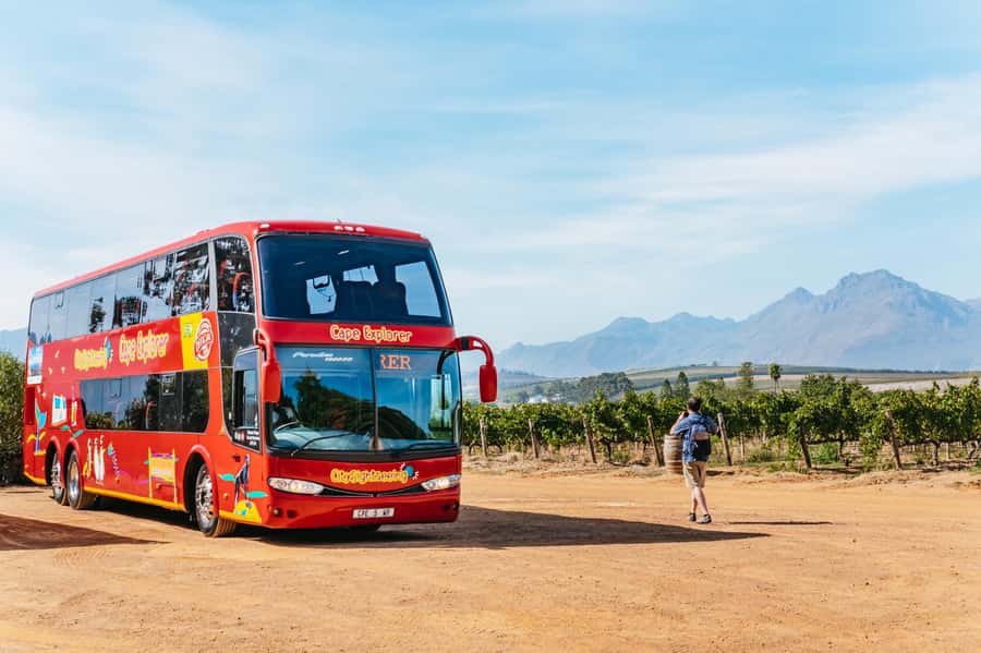 From Cape Town: 3 Regions Wine Tour with 3 Estates, 15 Wines - The early Cape Town pickup