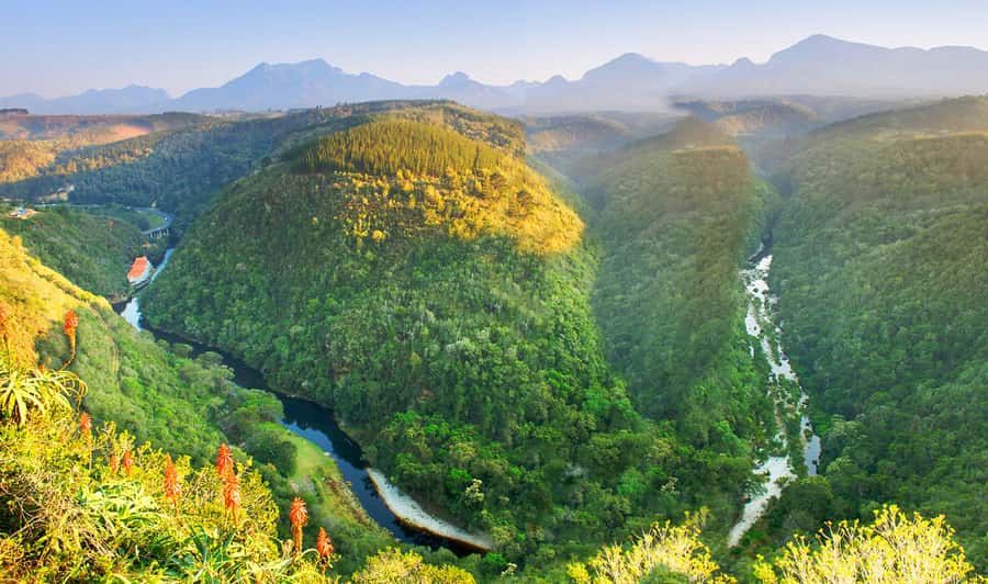 From Cape Town: 5-Day Best of Garden Route and Addo Safari - Who should book this trip