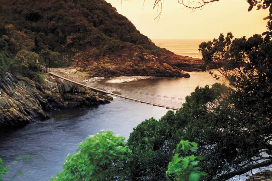 From Cape Town: 5-Day Best of Garden Route and Addo Safari - Why this five-day route works