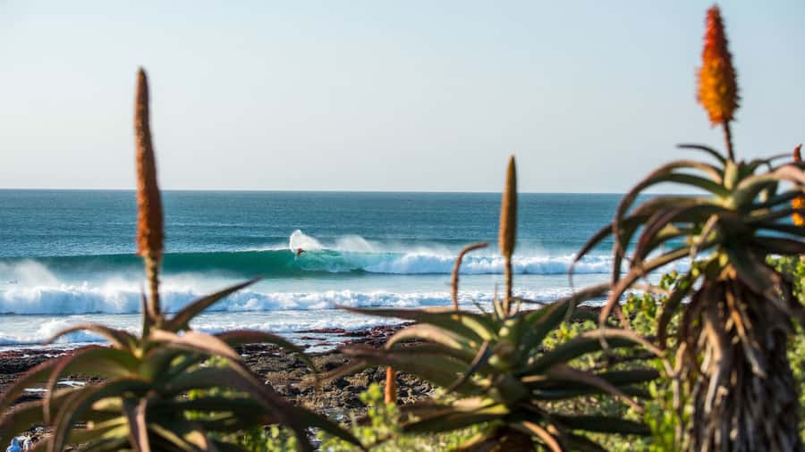 From Cape Town: 5-Day Best of Garden Route and Addo Safari - Day 2: Cango Caves and South African food