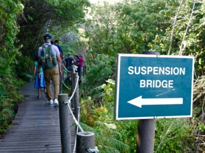 5-Day Best of Garden Route and Addo Safari