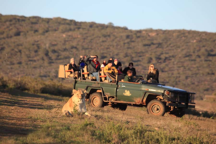From Cape Town: 5-Day Garden Route & Addo Elephant Park Tour - Key points at a glance