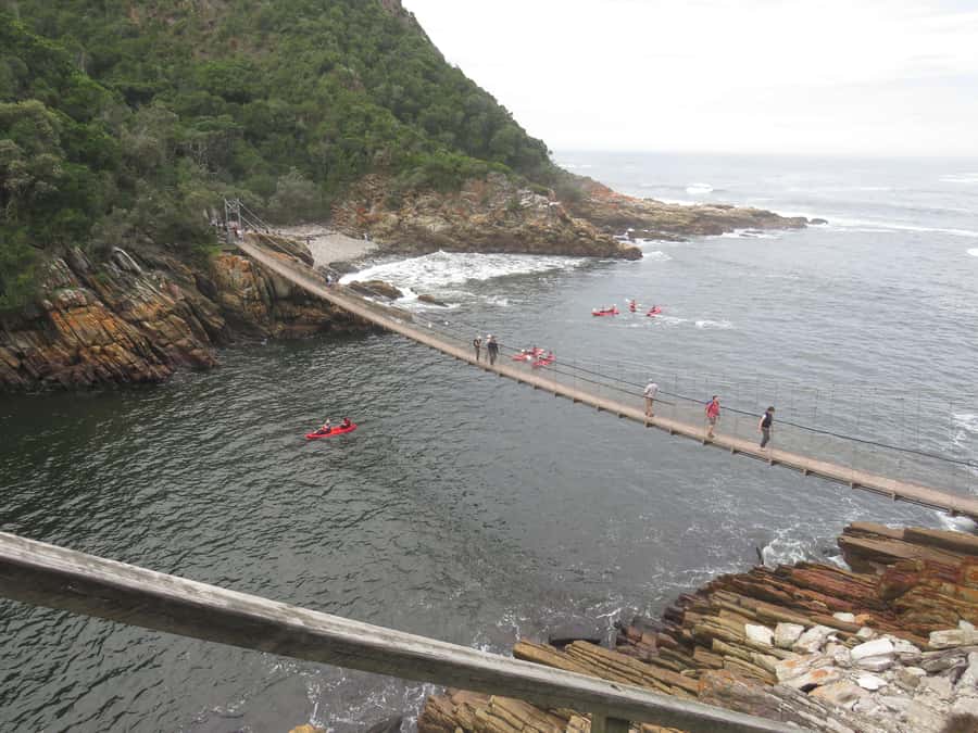 From Cape Town: 5-Day Garden Route & Addo Elephant Park Tour - Day five: Early safari and the route through Hermanus
