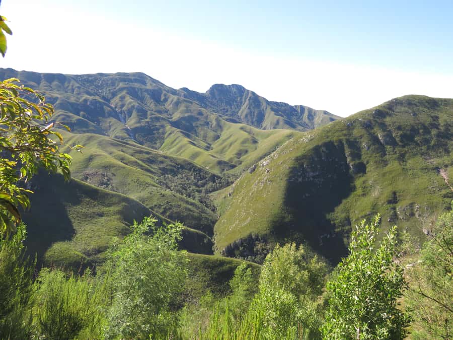 From Cape Town: 5-Day Garden Route & Addo Elephant Park Tour - Accommodation, meals, and the real cost