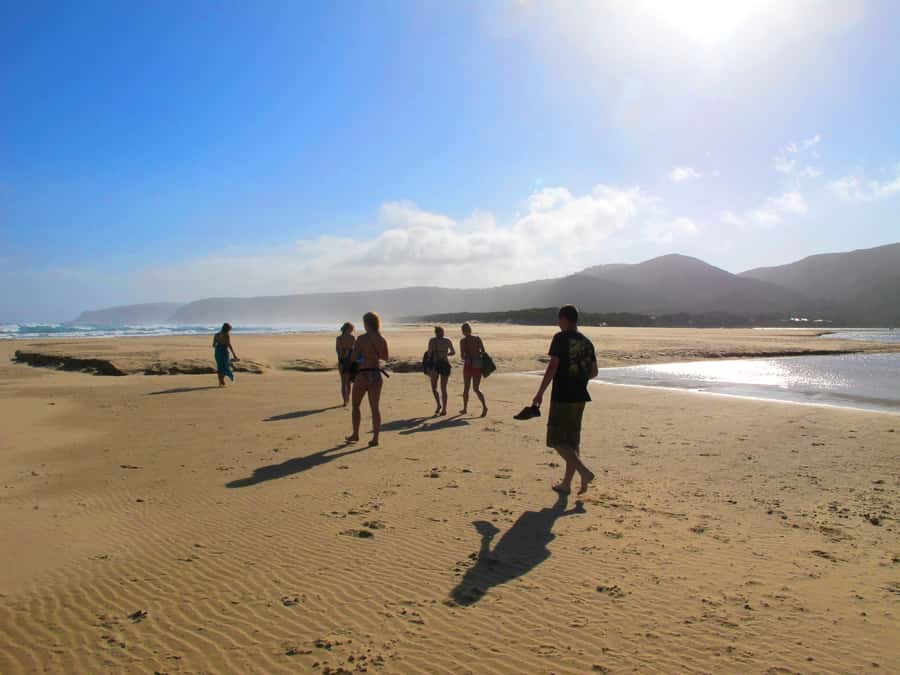 From Cape Town: 7-Day Garden Route, Addo and Winelands Combo - What the guides and group setup mean