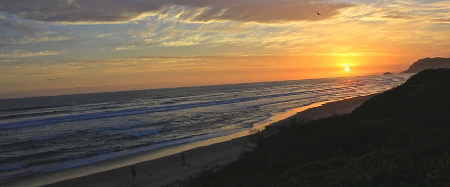From Cape Town: 7-Day Garden Route, Addo and Winelands Combo - Why this seven-day route works
