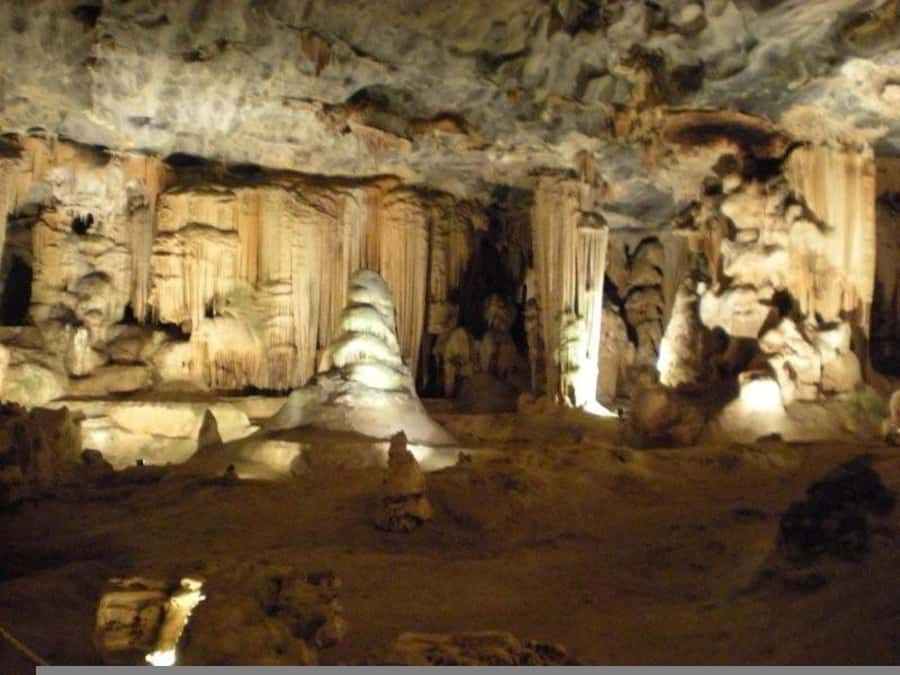 From Cape Town: 7-Day Garden Route, Addo and Winelands Combo - Day 3: Route 62 and the Cango Caves