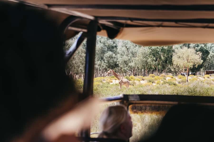 From Cape Town: Big Five Game Reserve with Lunch - Birdwatching beyond the Big Five
