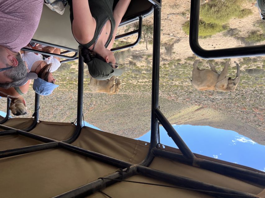 From Cape Town: Big Five Safari Experience with Lunch - What to bring for a more comfortable day