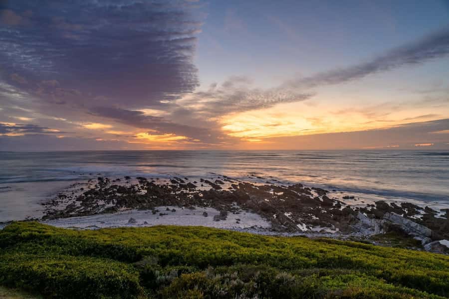 From Cape Town: Cape Agulhas, Penguins, Wine Tasting Tour - Hermanus for lunch and seasonal whale watching