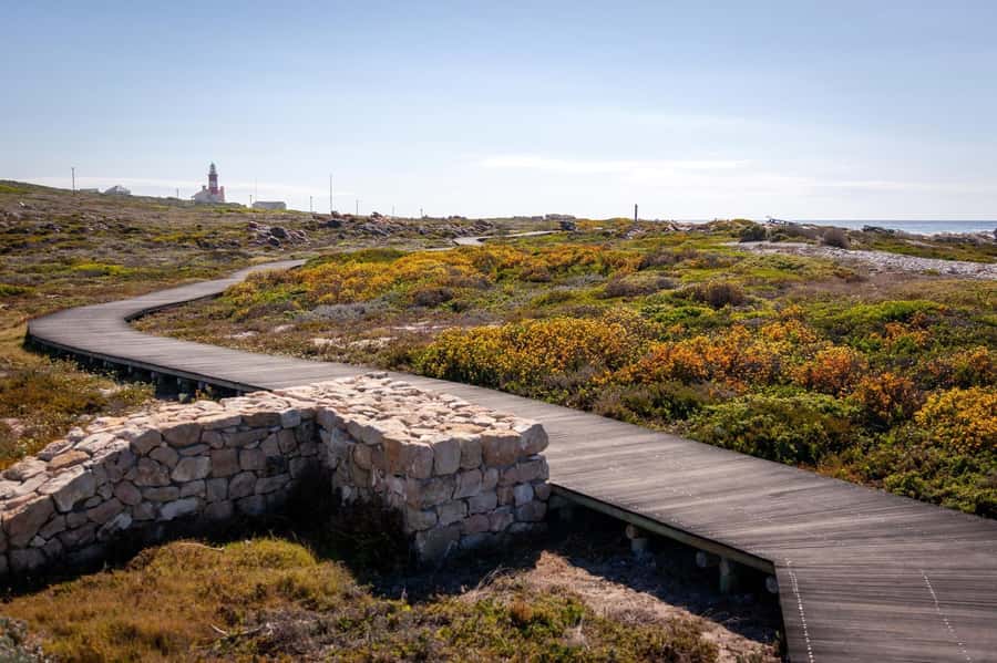 From Cape Town: Cape Agulhas, Penguins, Wine Tasting Tour - Reaching the meeting point of two oceans