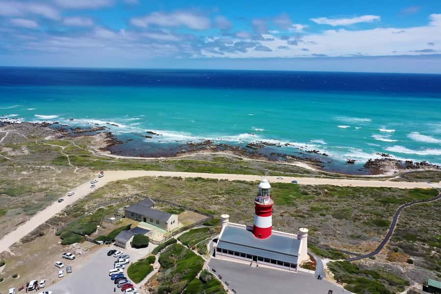 From Cape Town: Cape Agulhas, Penguins, Wine Tasting Tour - Is $214 a fair price?
