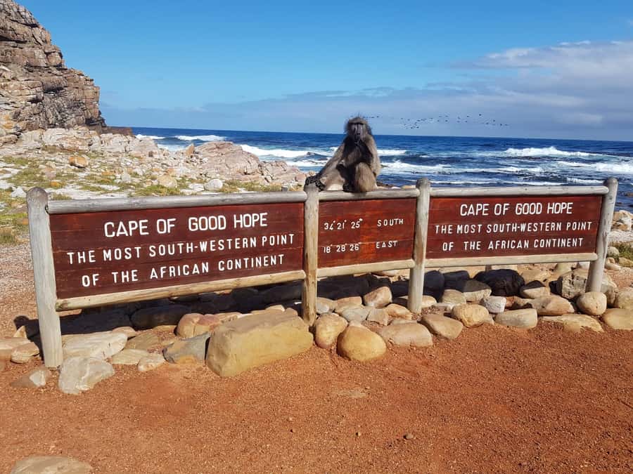 From Cape Town: Cape Point and Boulders Beach Full-Day Tour - Boulders Beach and the African penguin colony