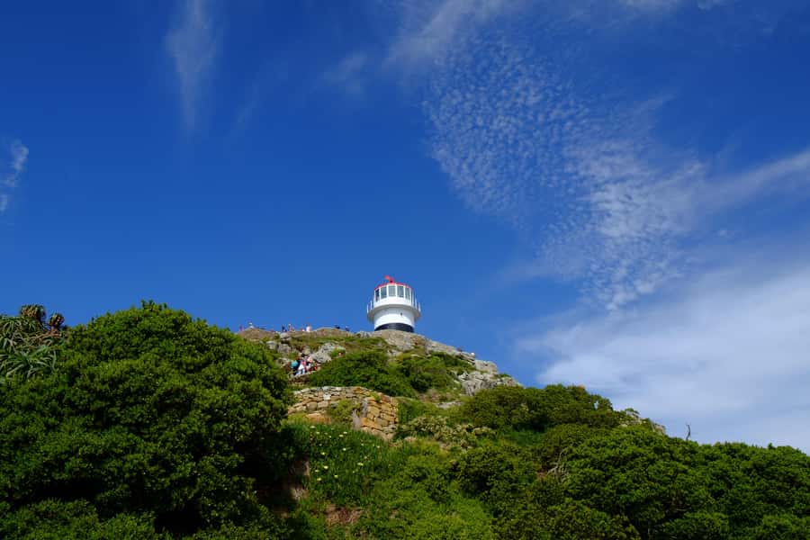 From Cape Town: Cape Point & Boulders Beach Full-Day Tour - Chapman’s Peak gives the day its road-trip feeling