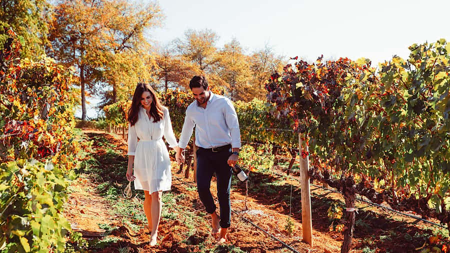 From Cape Town: Cape Winelands Full-Day Private Tour - Paarl brings biltong into the tasting room